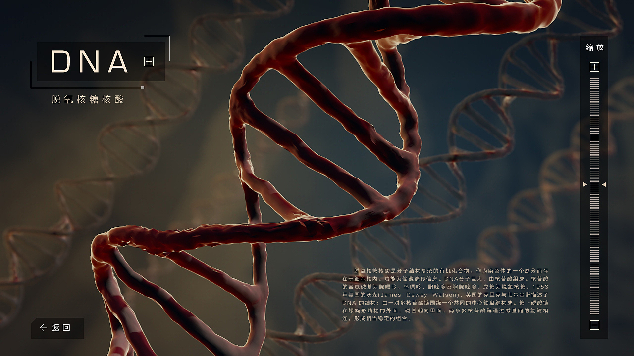 细胞（图ZMTMxNTQ1MTA4） - 人物/生物 - 站酷设计师Anding原创素材 - 站酷ZCOOL