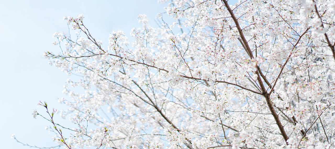 详情页（图ZMjk1MzMwNDQ0） - 电商 - 站酷设计师小镇市民原创素材 - 站酷ZCOOL