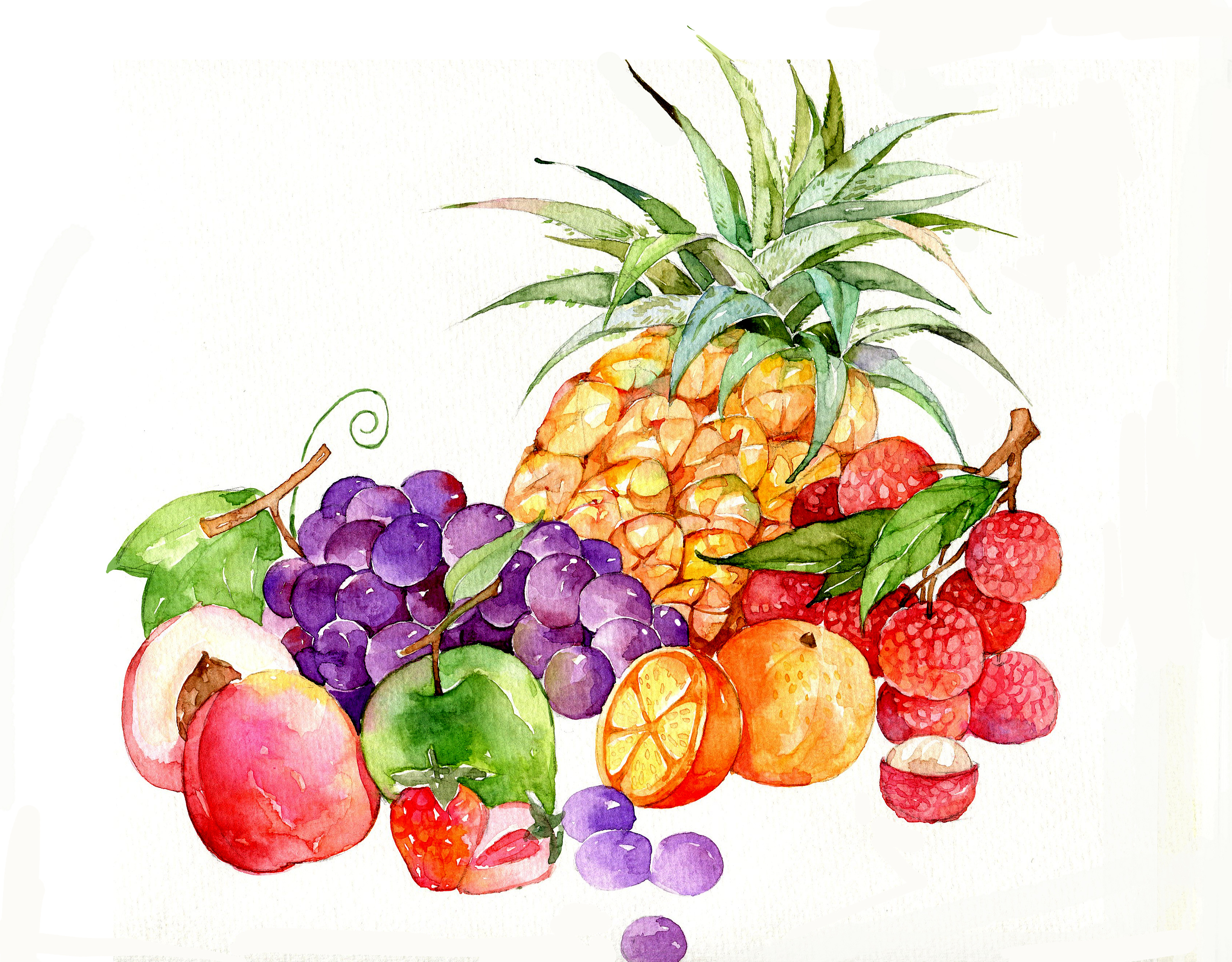 水彩练习——水果|纯艺术|绘画|ccsttail - 原创作品 - 站酷 (ZCOOL)