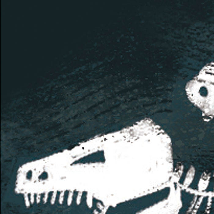 小恐龍（圖ZODM4ODIwMDg=） - 商業(yè)插畫(huà) - 站酷設(shè)計(jì)師亦十八L原創(chuàng)素材 - 站酷ZCOOL