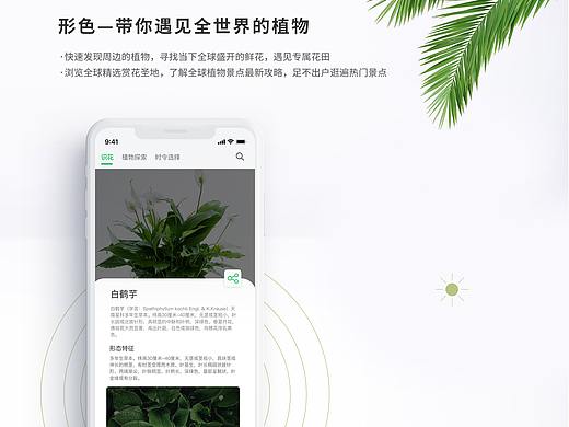 形色识花改版