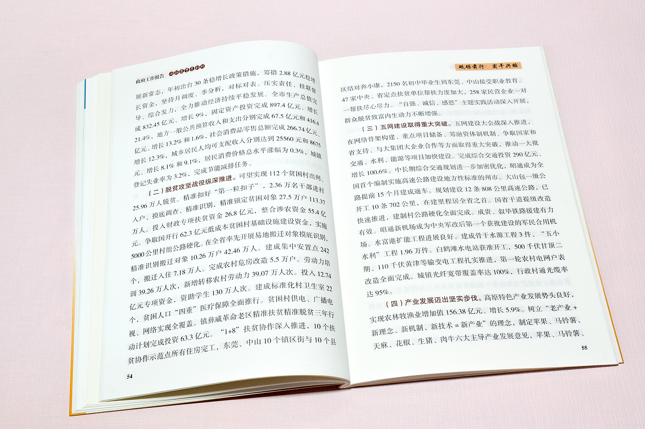 昭通市政府工作报告图解及背景材料（2018）（图ZMjU3MDE2MDg4） - 书籍/画册 - 站酷设计师木子LeeHW原创素材 - 站酷ZCOOL