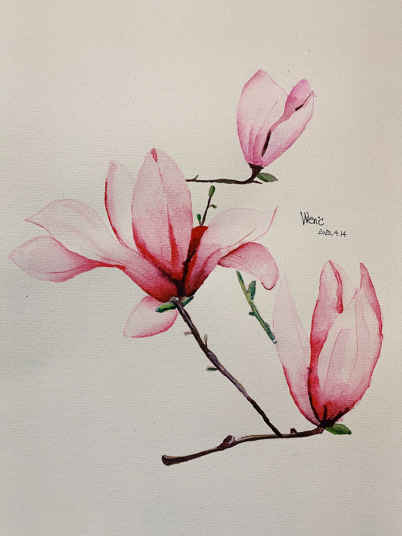 水彩画临摹作品