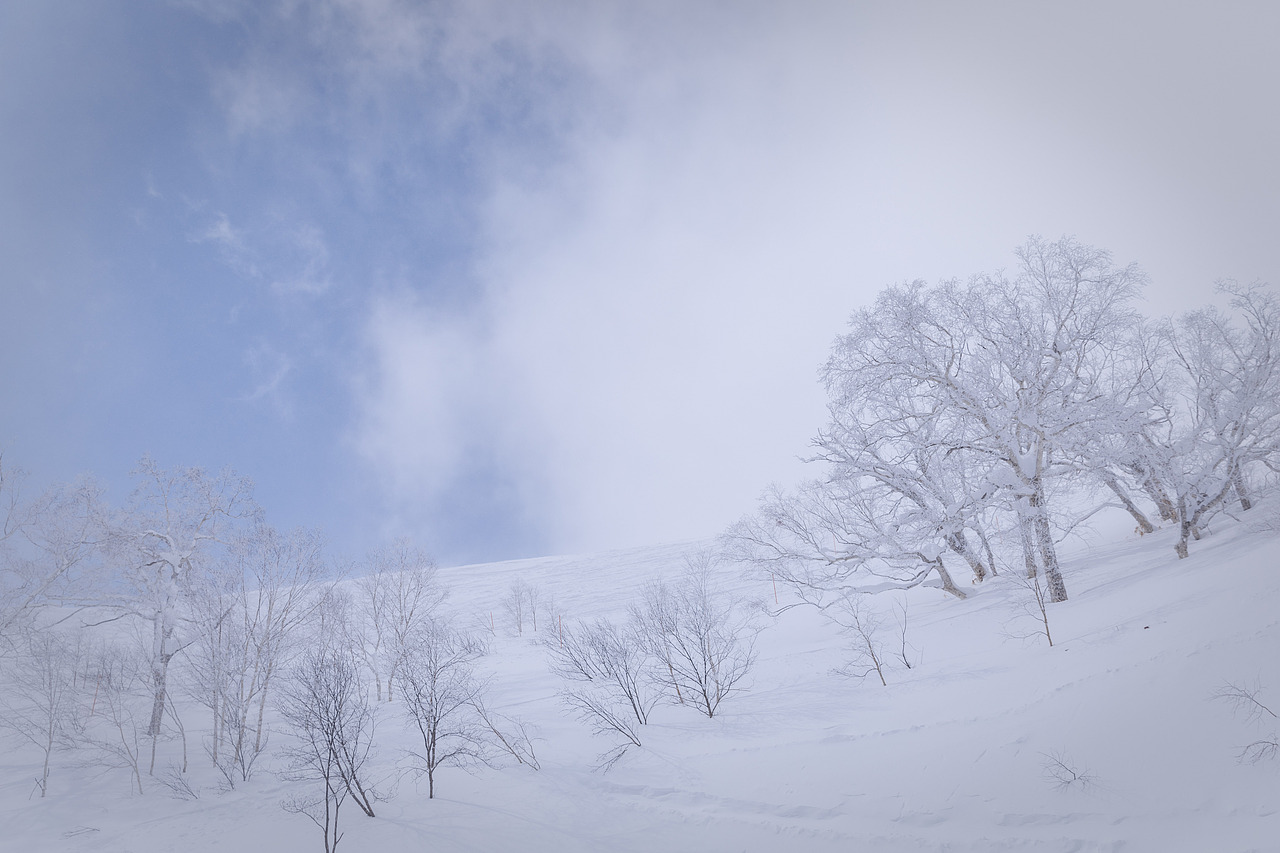 我在北海道滑雪（图ZMTA5Mzk0Mzg4） - 短片 - 站酷设计师魏编来了原创素材 - 站酷ZCOOL