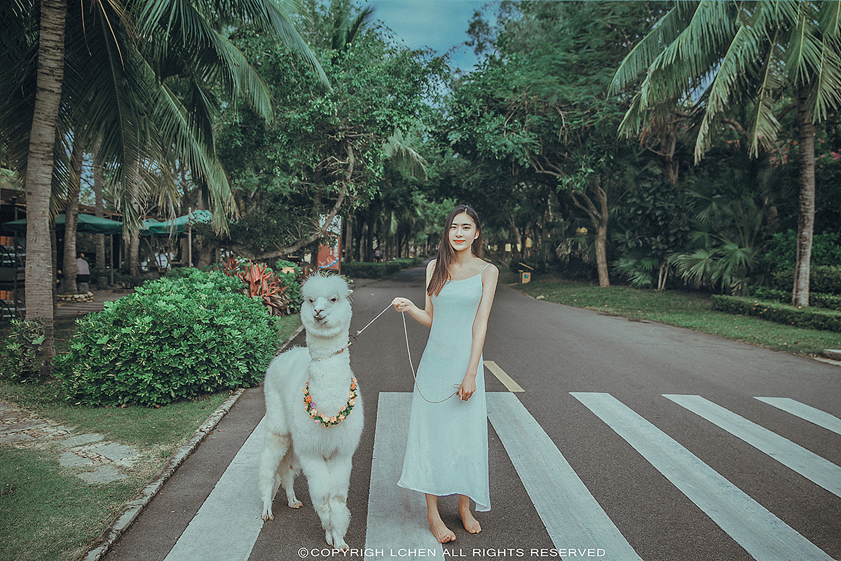 愿君待人如沐春风般温柔