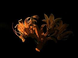 某会所灯光效果图