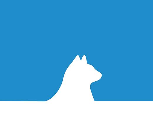 【鱼找茬儿】10期：名片设计的调整改稿