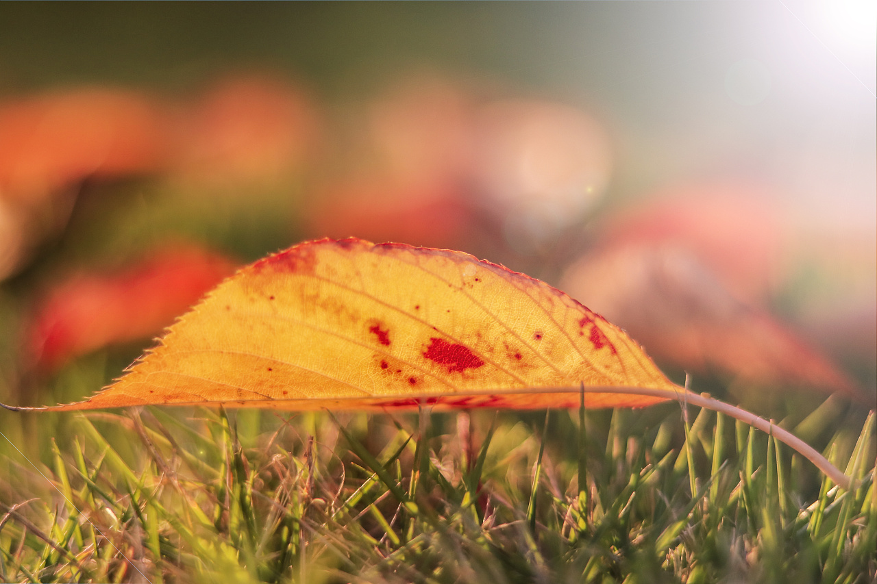 午后|摄影|环境/建筑|yujie6464zhou - 原创作品 - 站酷 (zcool)