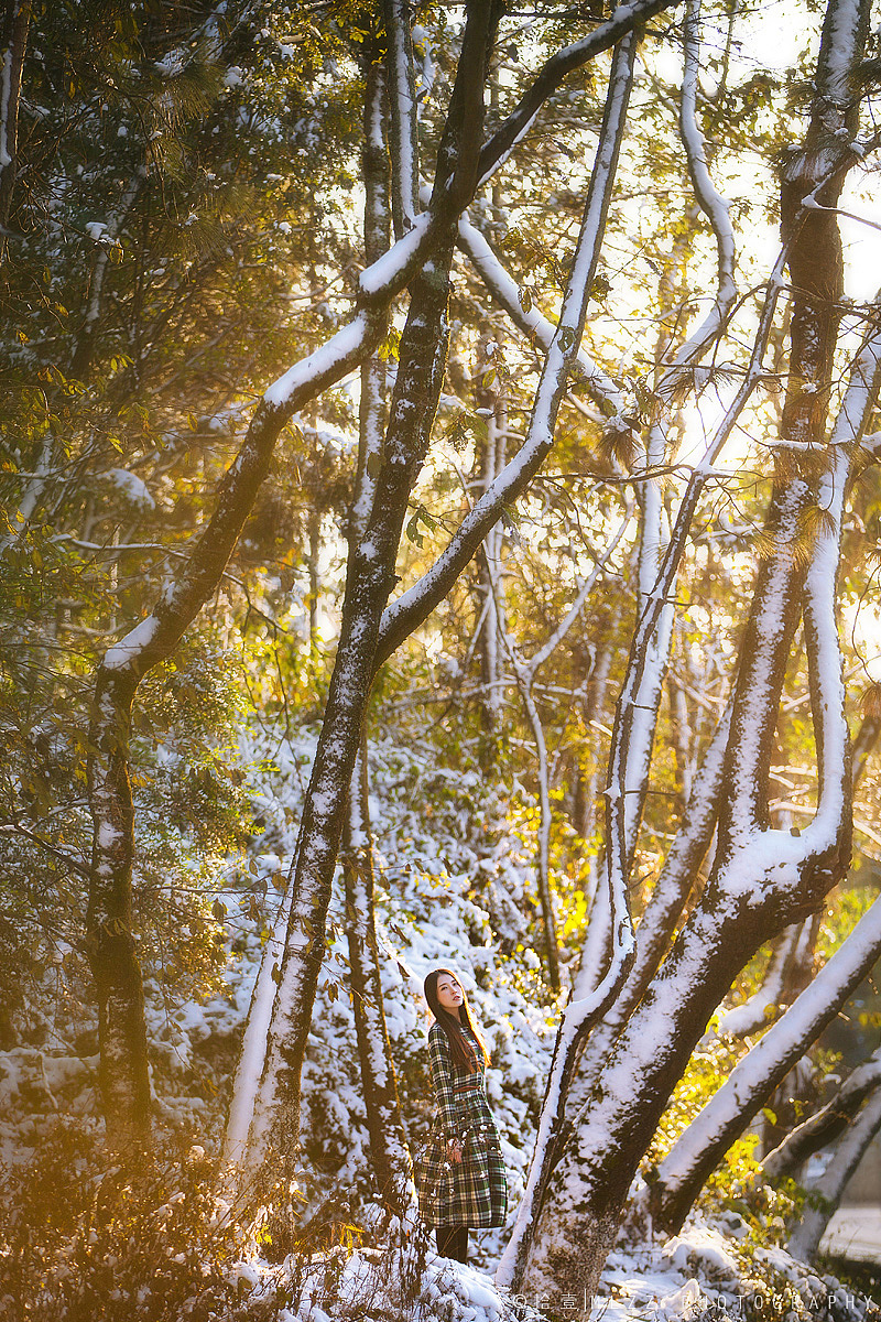 冬雪·一期一会