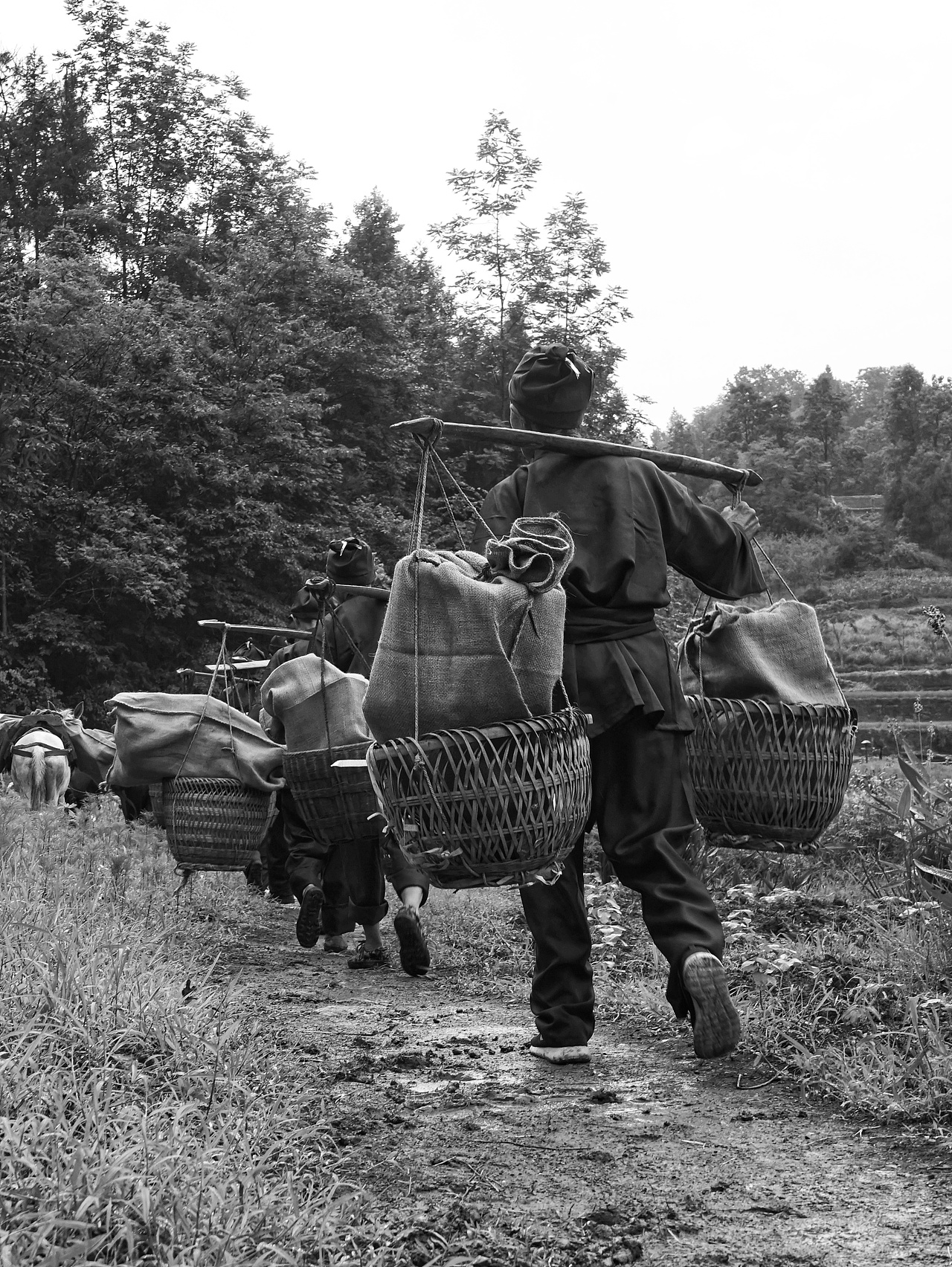 时光印记（图ZMTIxOTIwNDgw） - 人文/纪实摄影 - 站酷设计师阿悠设计事务所原创素材 - 站酷ZCOOL