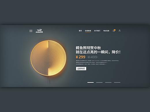 灯饰网站设计