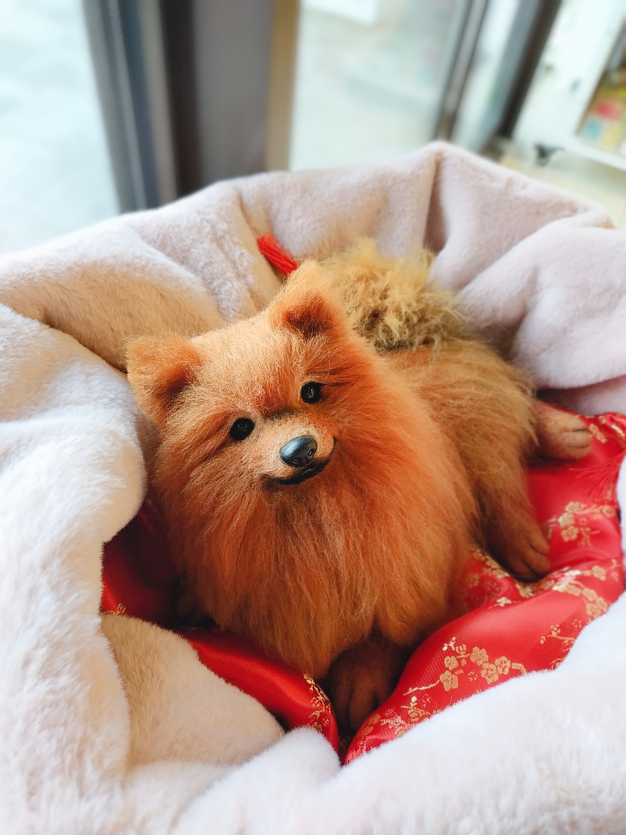 羊毛毡仿真全身立体——博美