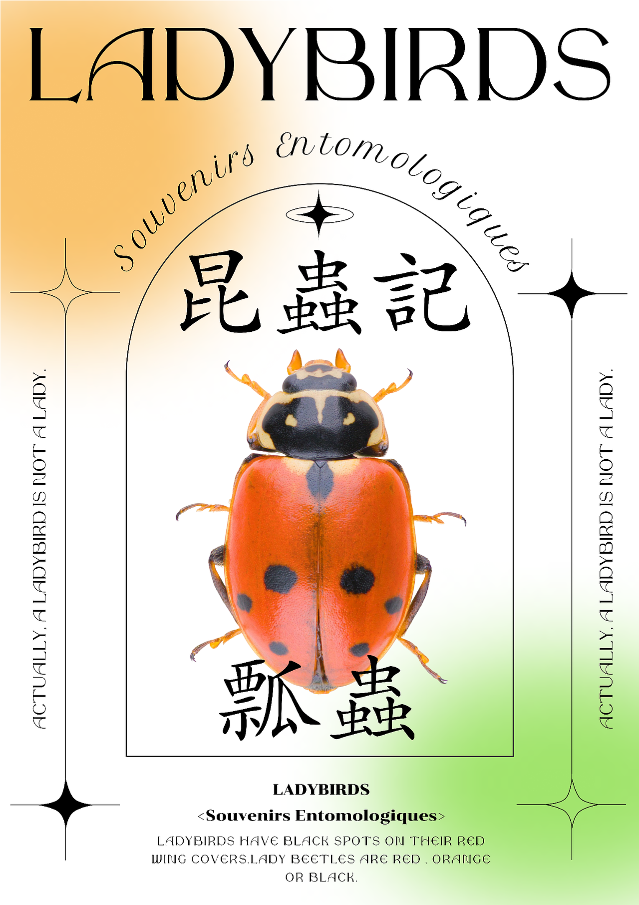 昆虫系列海报x7（图ZMzQ4NTE5NTI0） - 海报 - 站酷设计师CestbonY原创素材 - 站酷ZCOOL