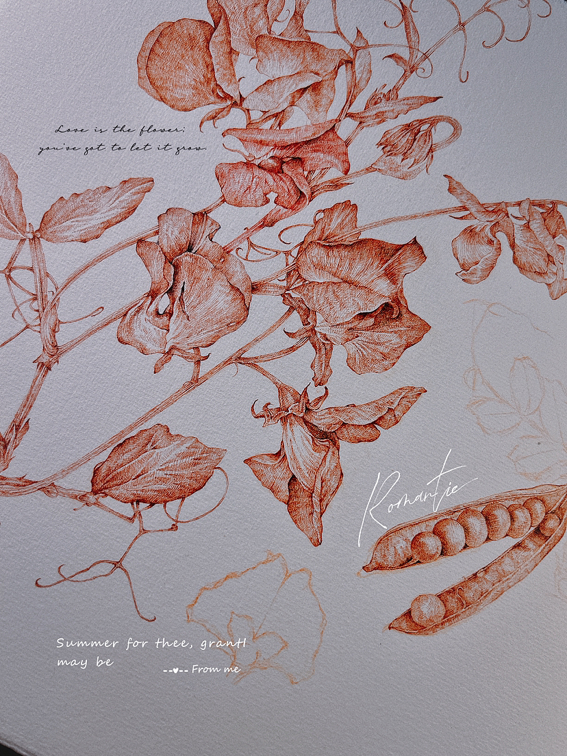 蘸水笔针管笔｜三种豆花科普（图ZMzY5Mzc3NDUy） - 艺术插画 - 站酷设计师CatCastleDZ原创素材 - 站酷ZCOOL