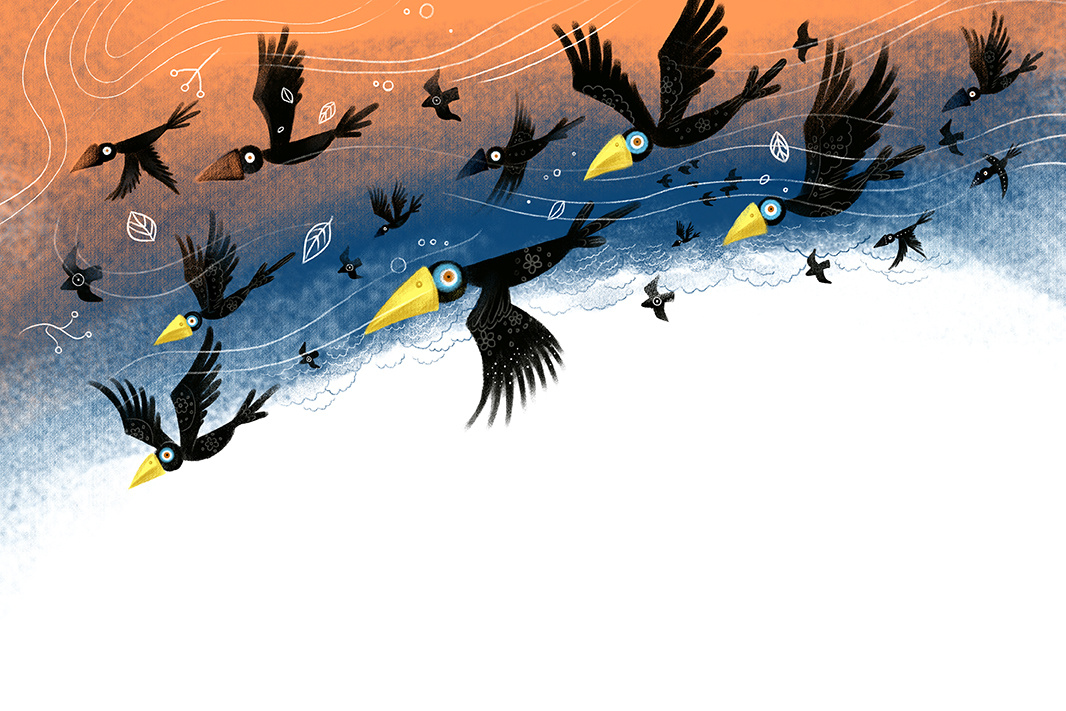 绿野仙踪童书插图