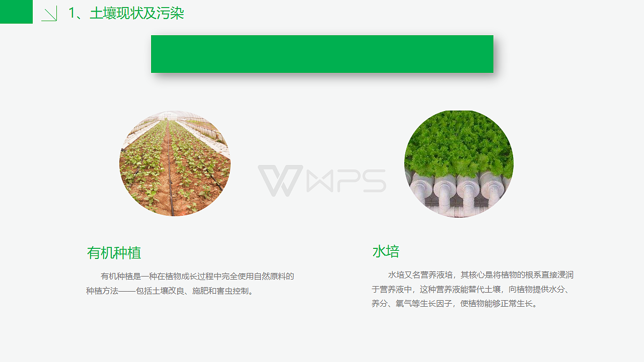 广东原生农业生物科技有限公司ppt（图ZMTE3MzEzODM2） - PPT/Keynote - 站酷设计师RexW一studio原创素材 - 站酷ZCOOL