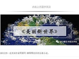 美丽新世界 个人解读