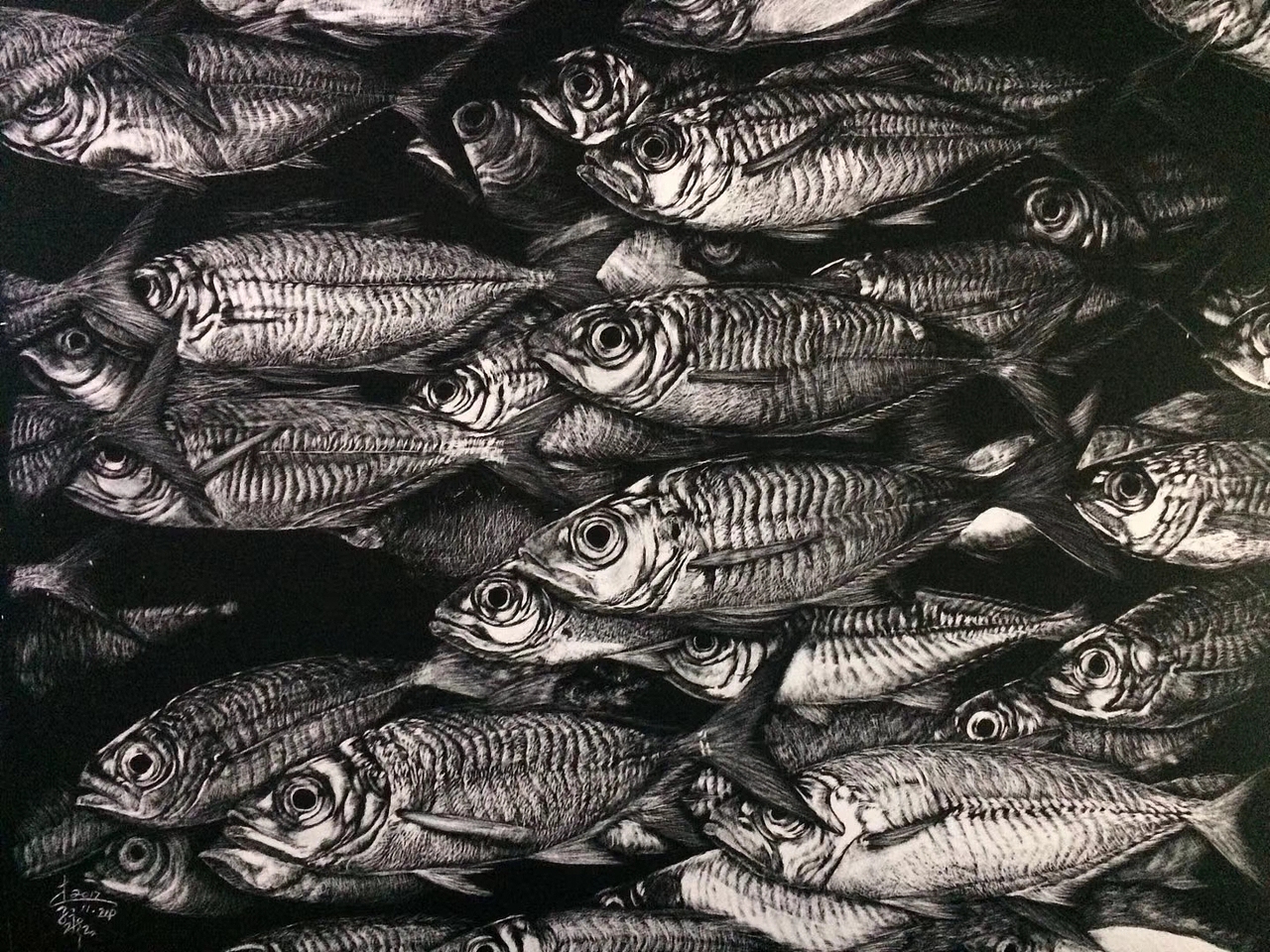 李子哥刮画作品《好多鱼》