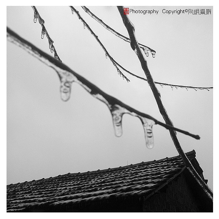 摄影小品（图ZMTY2NTcyMzYw） - 人文/纪实摄影 - 站酷设计师o大象叔叔o原创素材 - 站酷ZCOOL