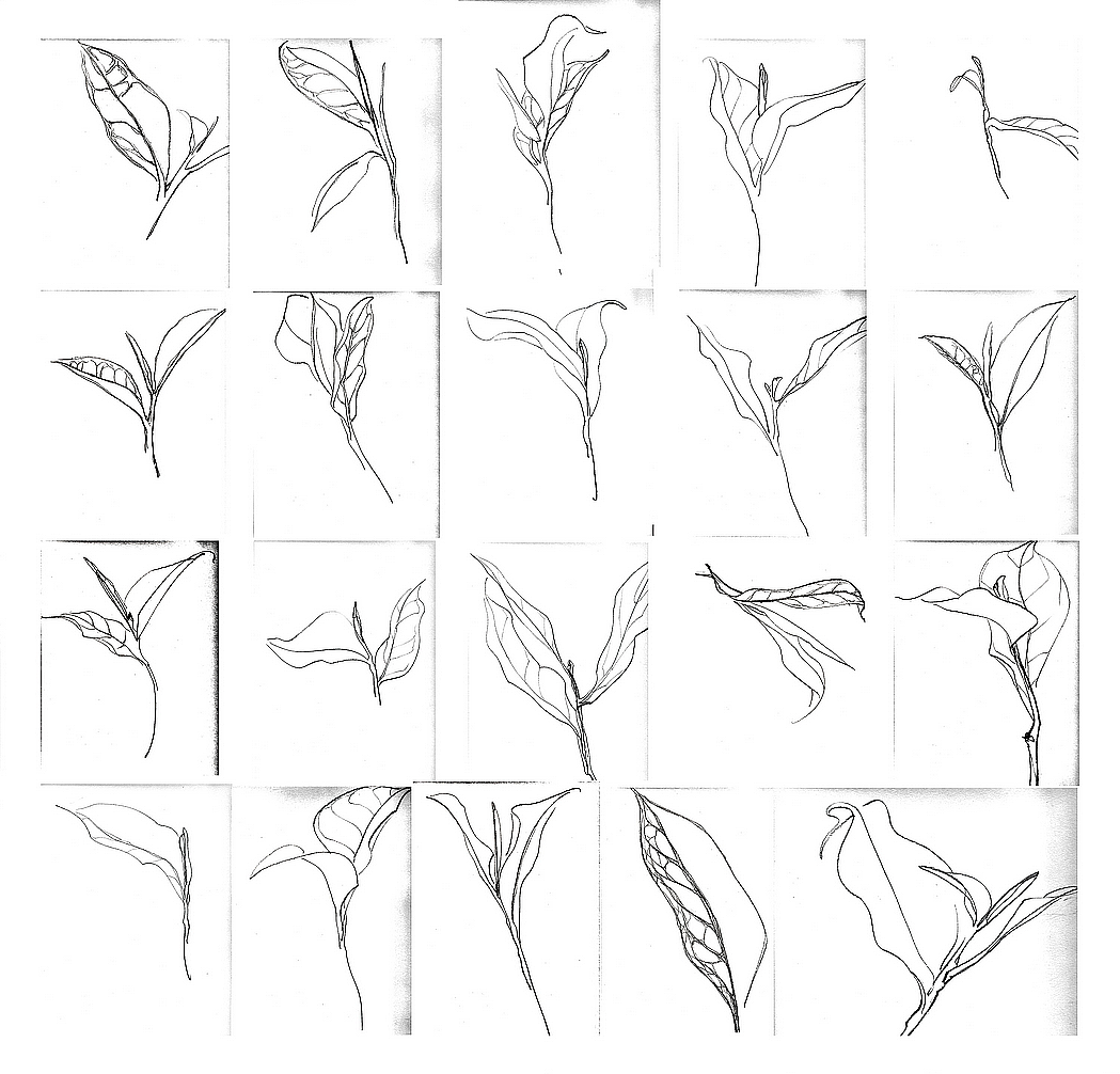 茶叶品牌全案设计开发(传统新表现)