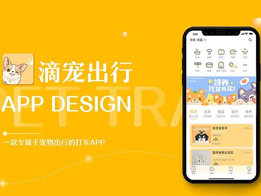 滴宠出行