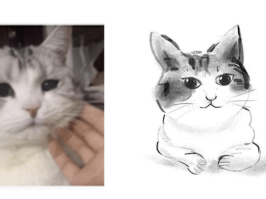 猫。国画