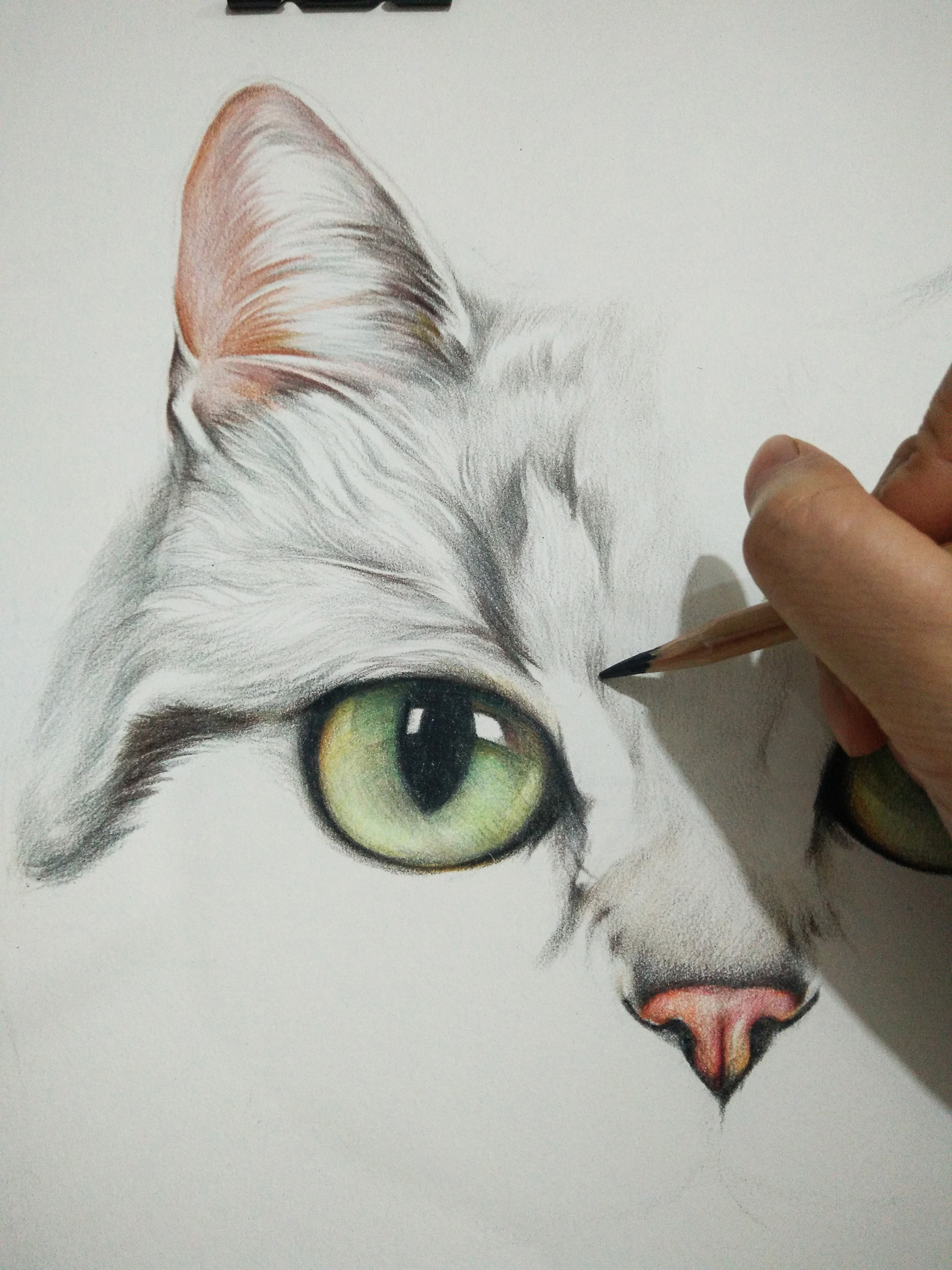 kitty猫图片画画,tty猫画画图片,tty猫画画_大山谷图库