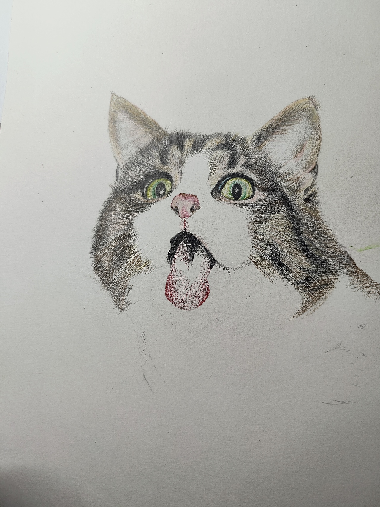 鬼臉貓（圖ZMjM4Njc5MDA0） - 繪畫 - 站酷設(shè)計師可小萌kiko原創(chuàng)素材 - 站酷ZCOOL