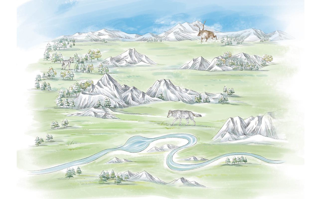 狼国故事（第三部）（图ZMjY0NzYzOTg4） - 儿童插画 - 站酷设计师半毫米原创素材 - 站酷ZCOOL
