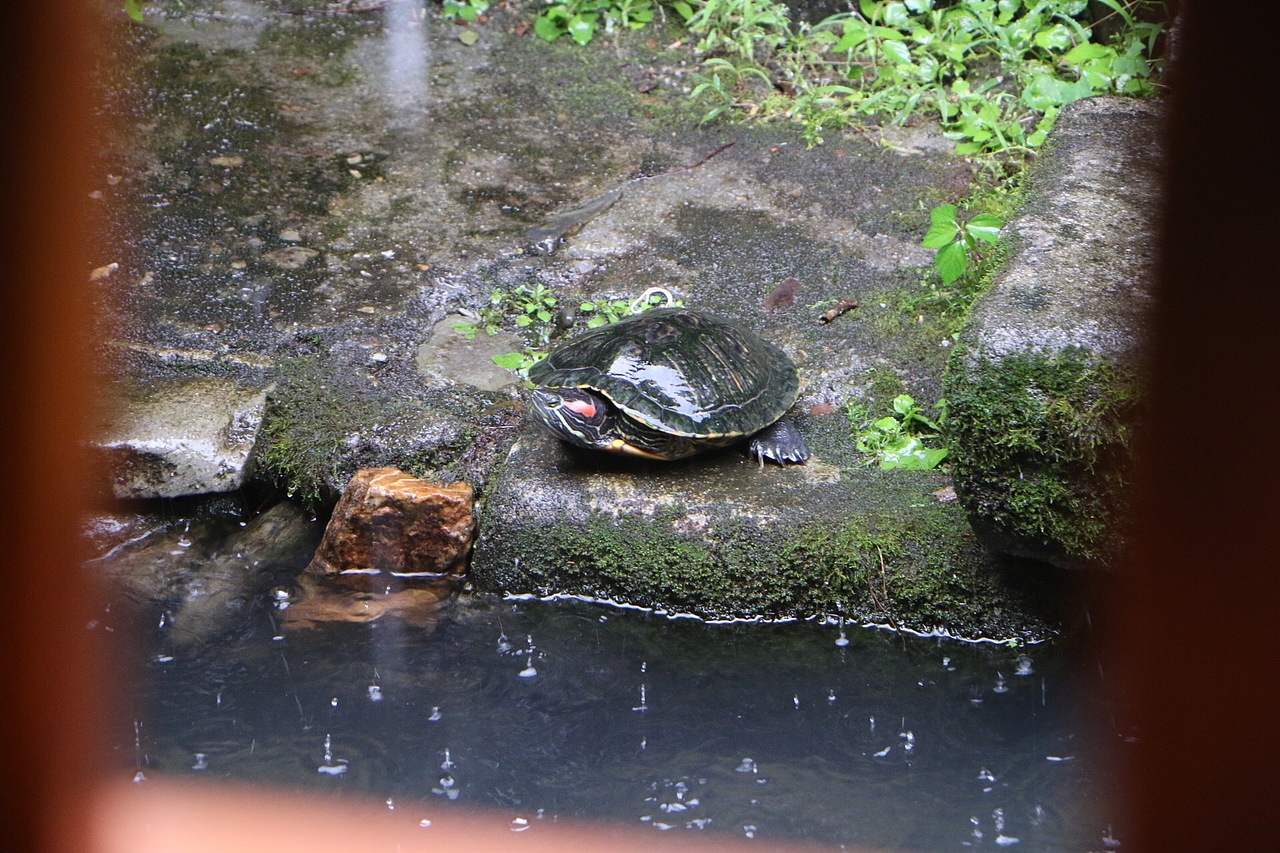 美好惬意的安徽之旅