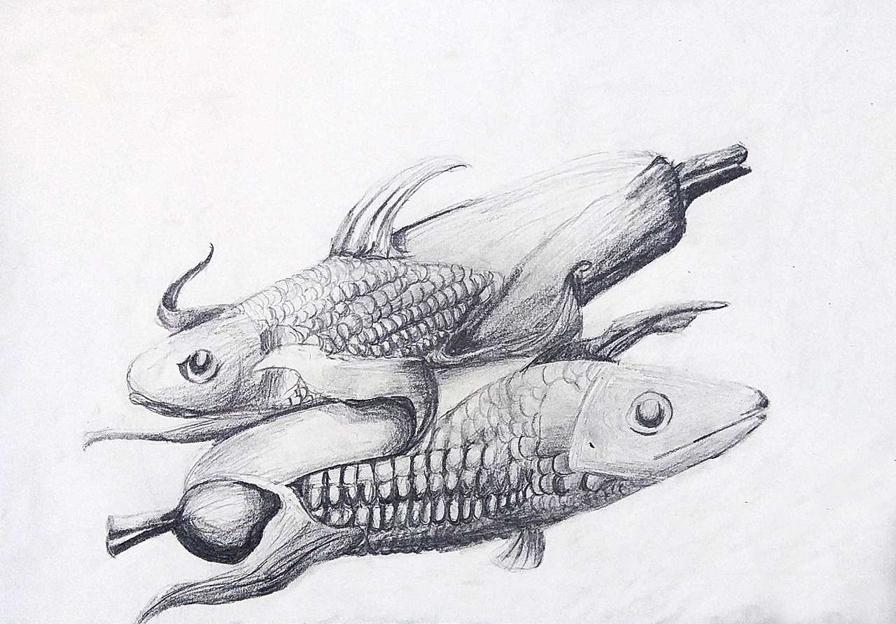 学生"创意素描——动物"作品集!