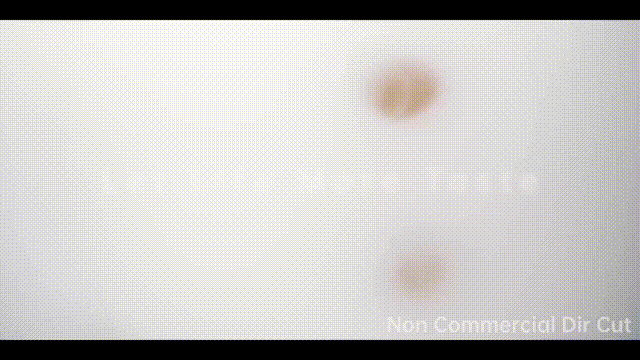 可可豆 X 《味蕾小爆炸》X Dir Cut