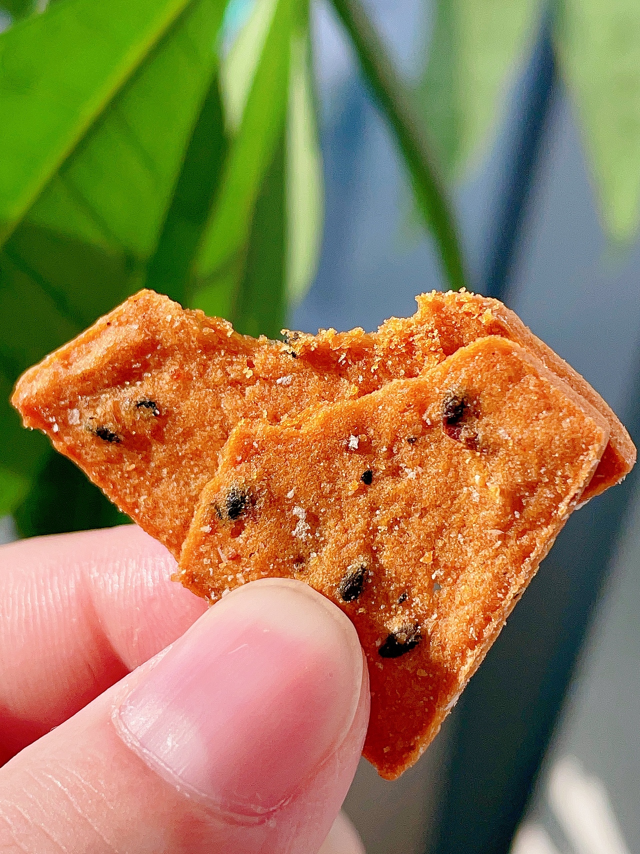 有间全球购|地瓜小酥