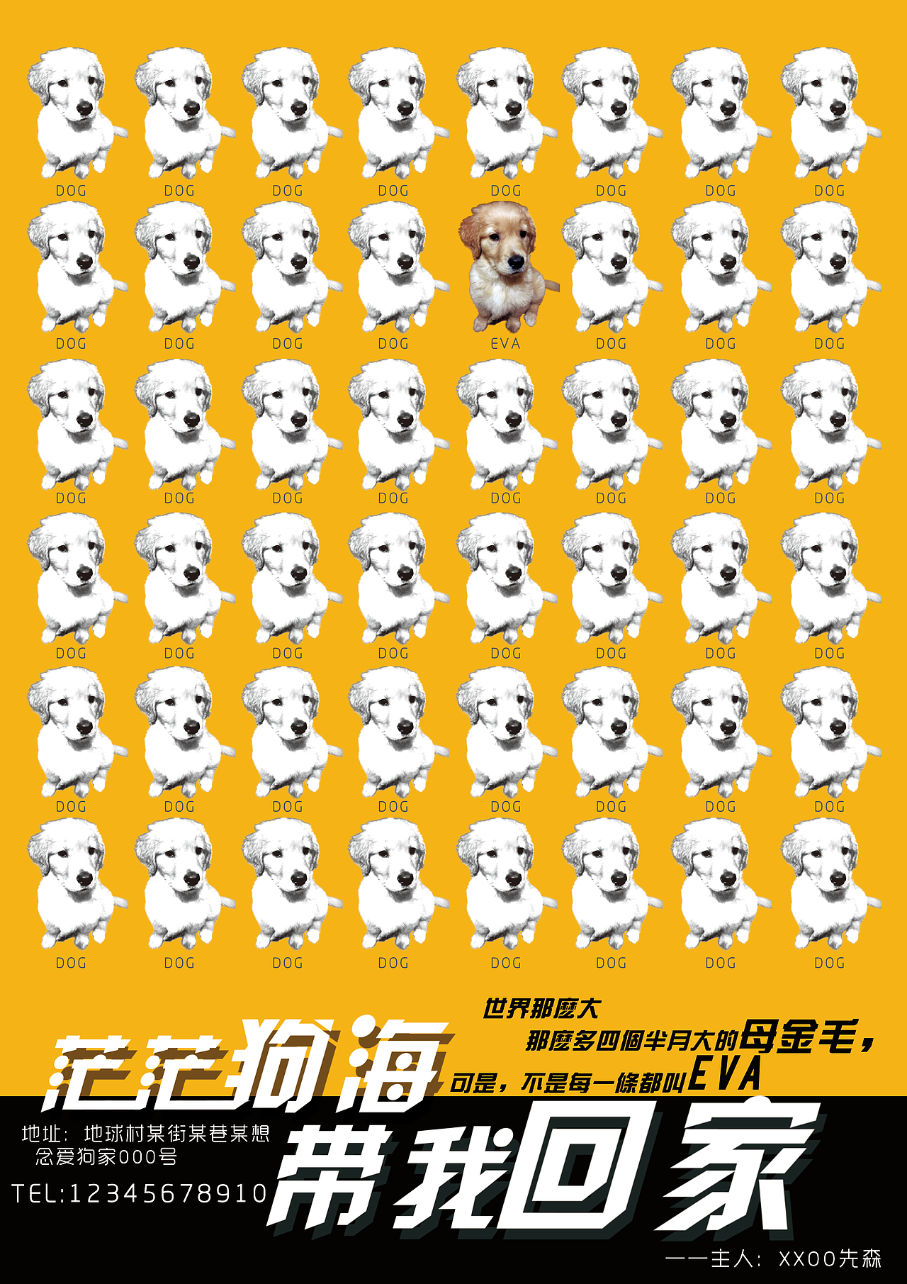 不是所有金毛都叫EVA（图ZMjcxODk4NzI=） - 海报 - 站酷设计师怪兽很瘦原创素材 - 站酷ZCOOL