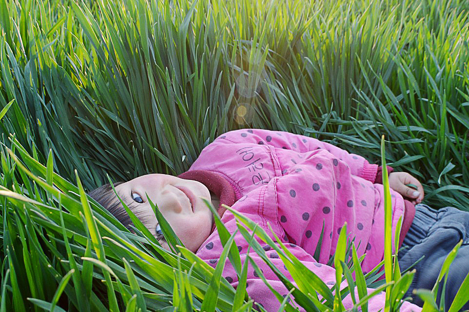 麦田里的小菇凉