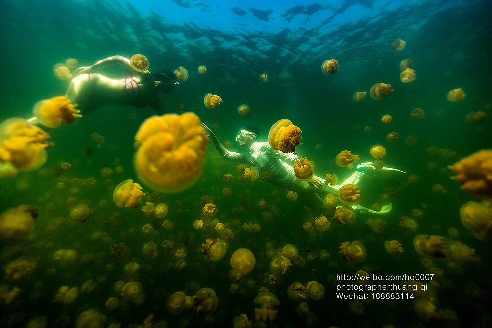水下摄影（图ZNDUxNTY0NTY=） - 人像摄影 - 站酷设计师摄影师黄棋原创素材 - 站酷ZCOOL