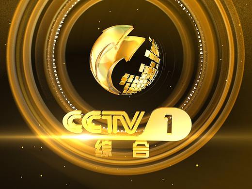 CCTV标识