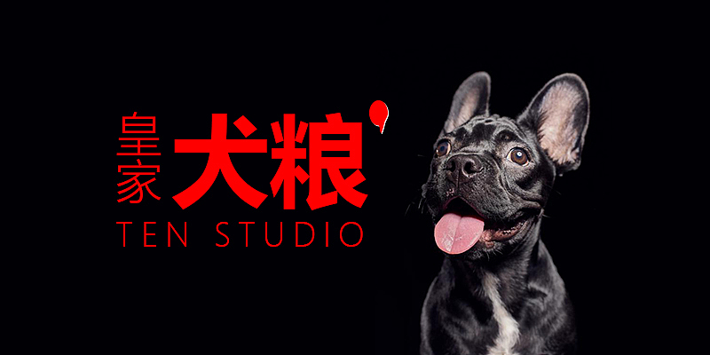河北赵伊凡的宠物banner（图ZMjM3MjQ3MjMy） - 其他UI - 站酷设计师赵伊凡原创素材 - 站酷ZCOOL