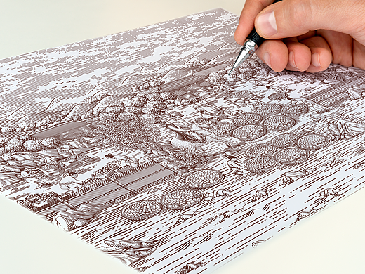 合作插画：良橘堂——橘红茶—画画的阿城