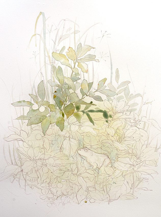 2017年插画小结（图ZMTEzOTQ5Njg4） - 商业插画 - 站酷设计师木壳人原创素材 - 站酷ZCOOL