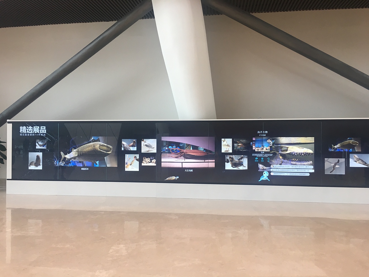 海洋博物馆（图ZMjUyMDU4ODA4） - 展陈设计 - 站酷设计师易森空间设计原创素材 - 站酷ZCOOL