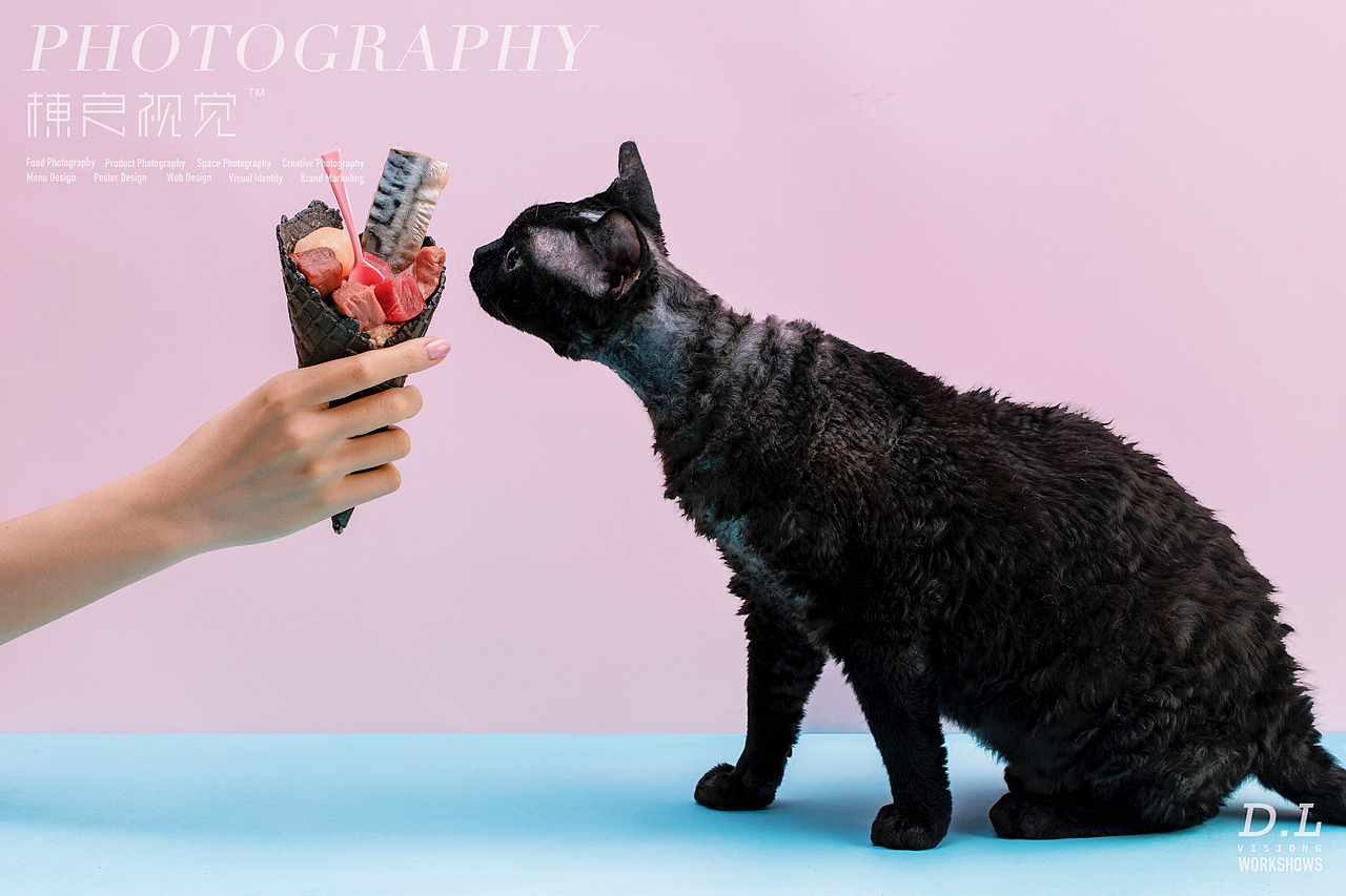 「产品摄影」 星际喵 绵绵罐（图ZMTc2MjkwNDQw） - 产品摄影 - 站酷设计师棟良视觉原创素材 - 站酷ZCOOL