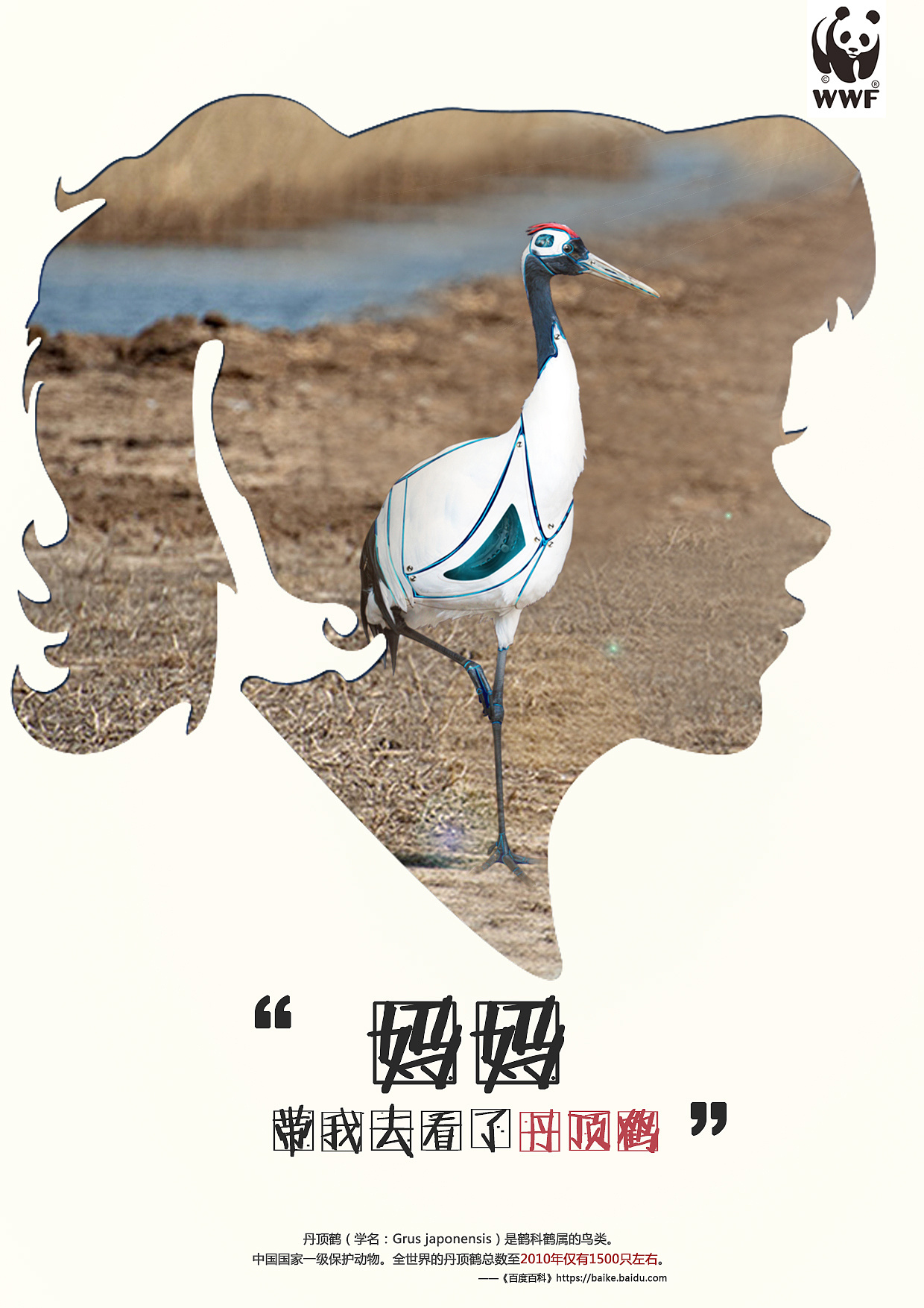 濒危鸟类海报图片