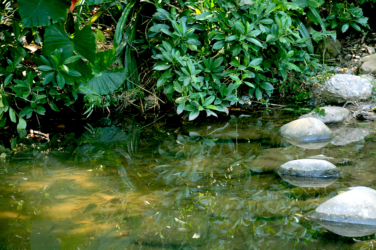 冬日晴天（圖ZMTA0NDQ4MTMy） - 風(fēng)光攝影 - 站酷設(shè)計師門泥原創(chuàng)素材 - 站酷ZCOOL