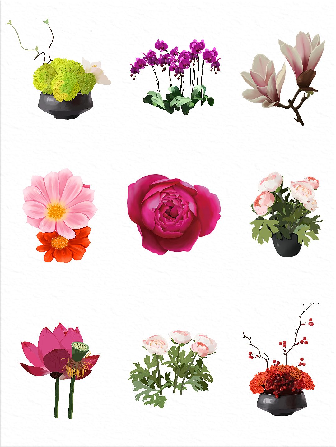 画画之花卉篇✍🏻