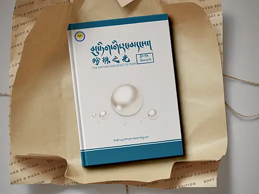 藏文书籍封面设计