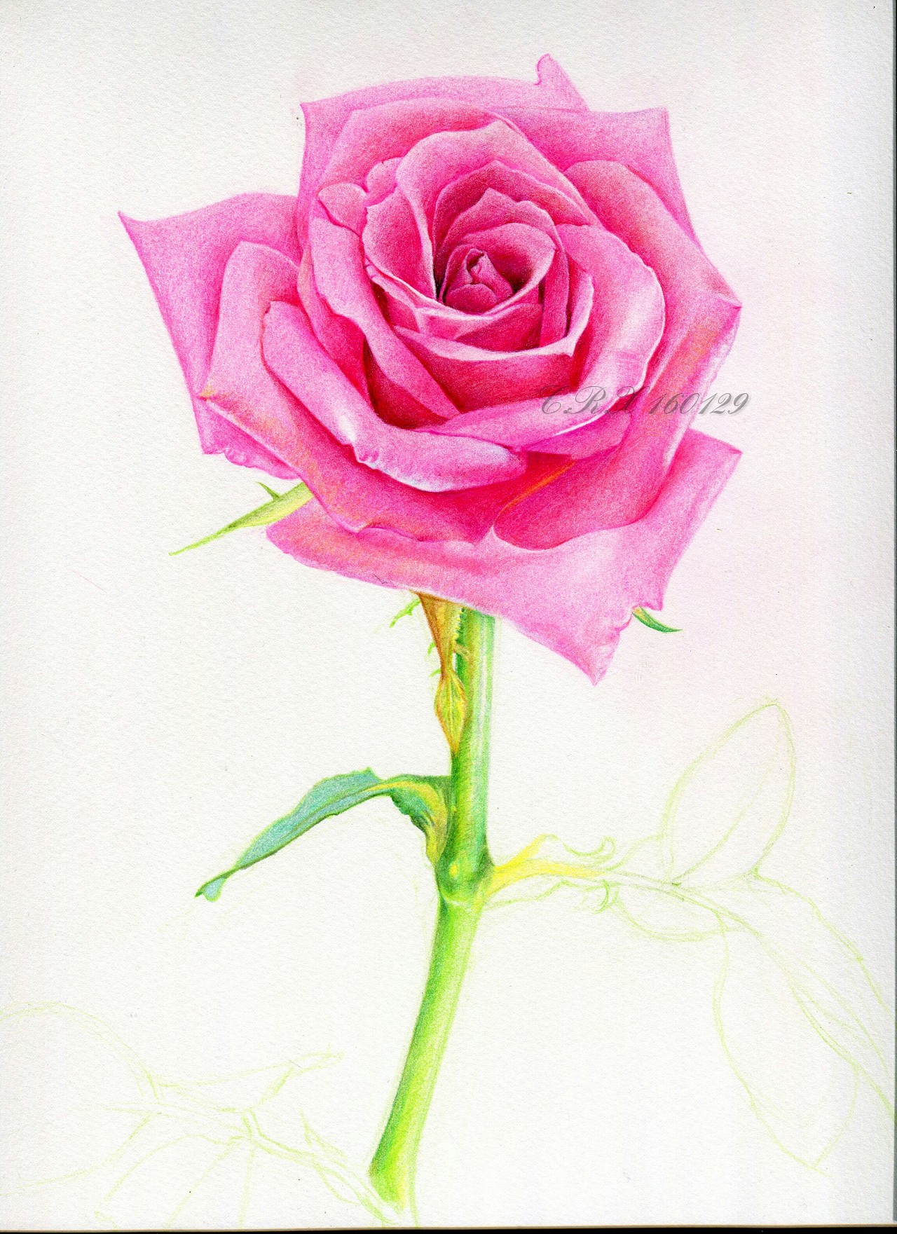 手绘玫瑰简笔画,手绘花朵简单(第2页)_大山谷图库
