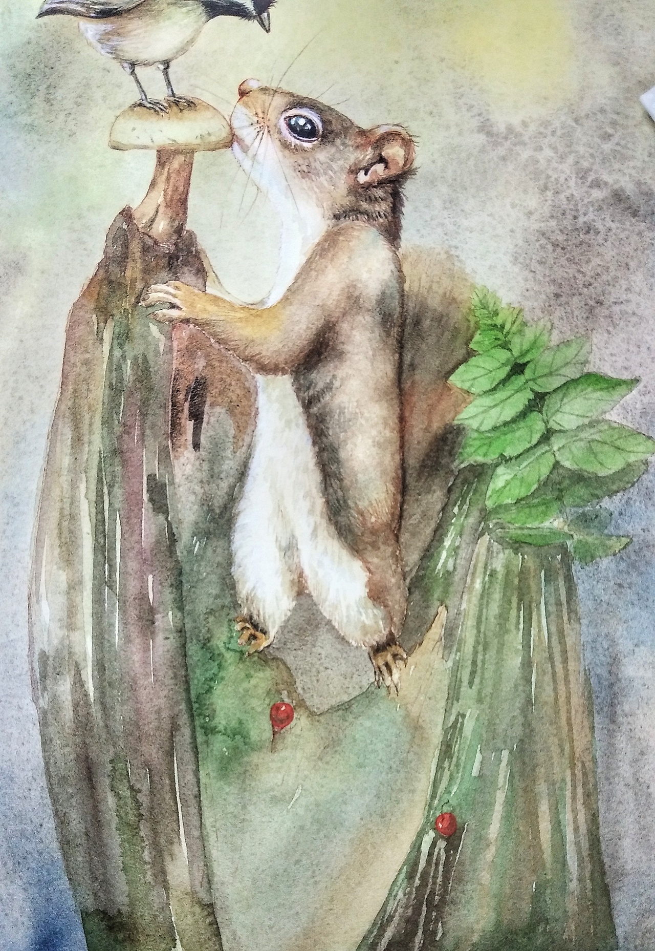 水彩松鼠🐿（图ZMTc4NDcwMDY0） - 绘本 - 站酷设计师ArleneC原创素材 - 站酷ZCOOL