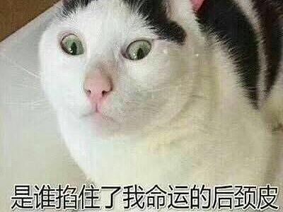 专题页详情页（个人主页-ZMzQ0MzE5NDg=） - 电商 - 站酷设计师ALITA翼原创素材 - 站酷ZCOOL