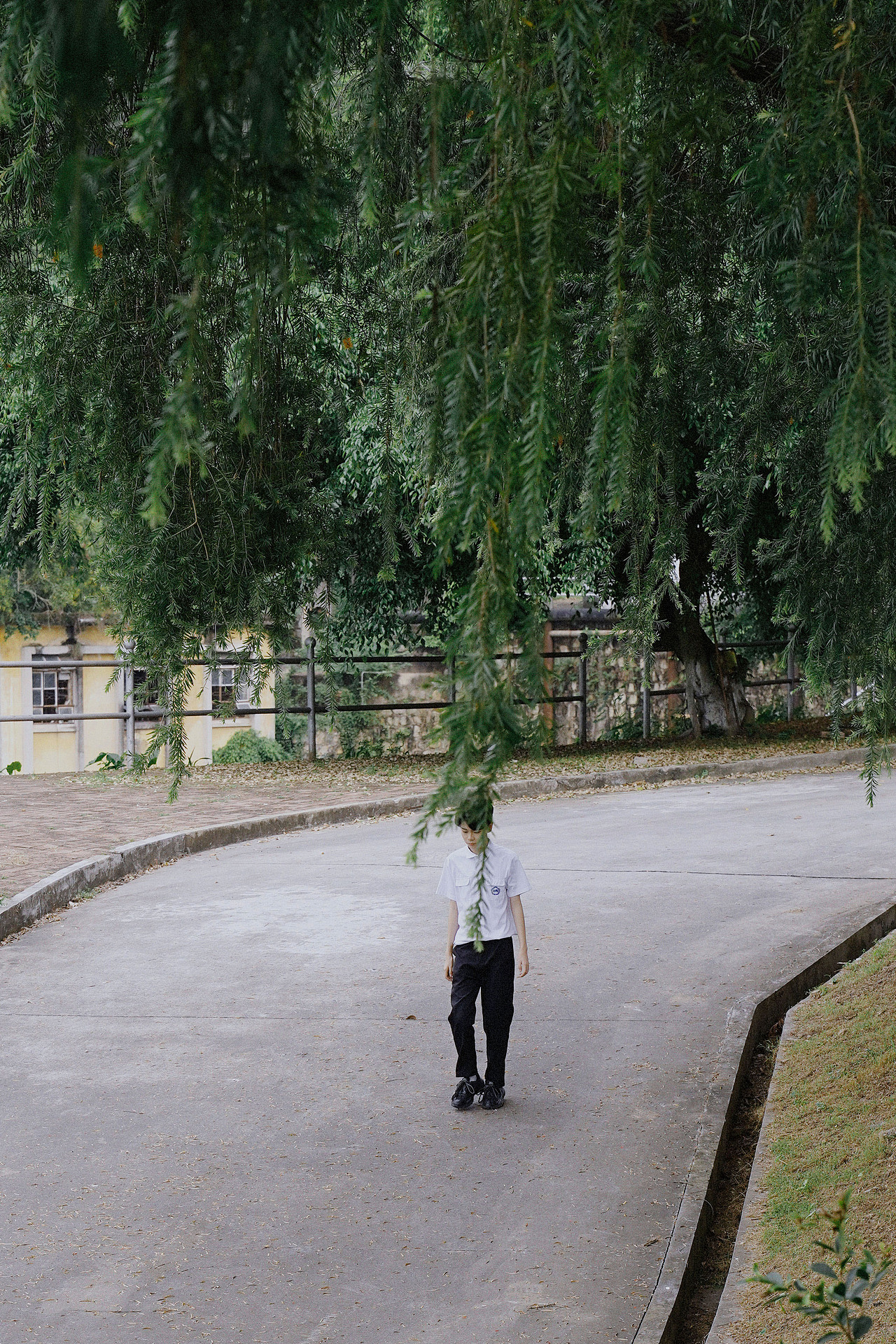 属于他的那一刻彩虹（图ZMjI5OTcxODQ0） - 人像摄影 - 站酷设计师_余小鱼原创素材 - 站酷ZCOOL